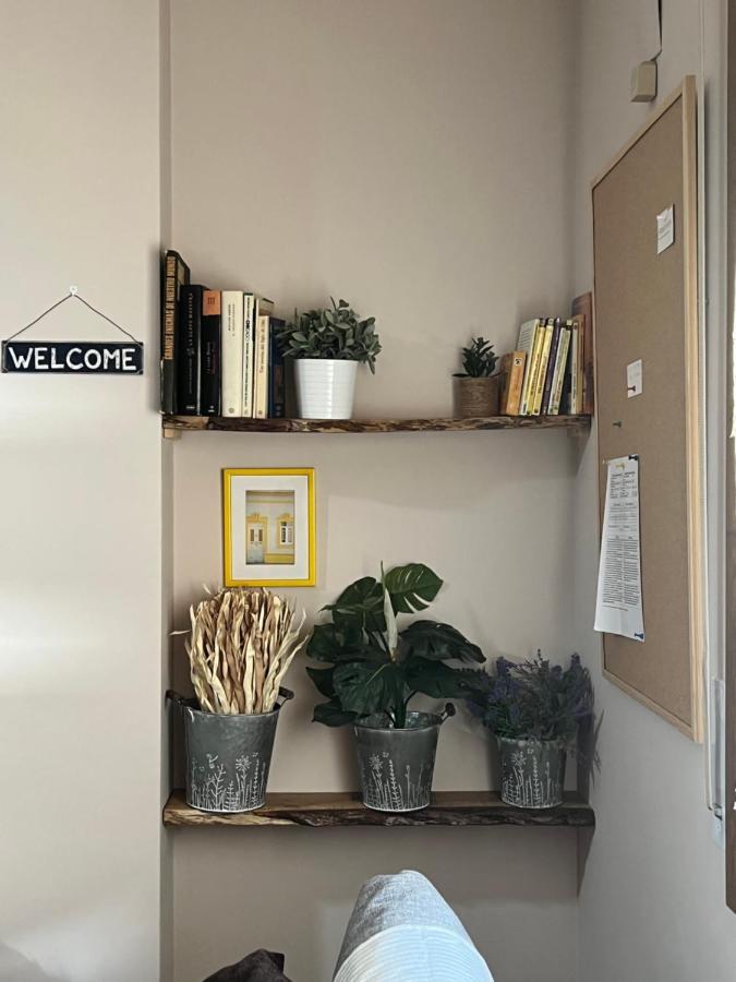 Apartamento Acogedor Pineta Bielsa Εξωτερικό φωτογραφία